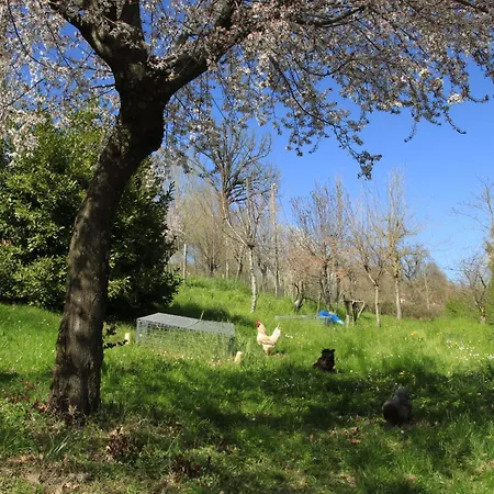 Apartamento Dei Forestieri