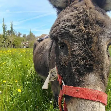 Dei Forestieri * Montefiorino