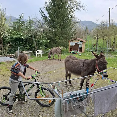 Dei Forestieri * Montefiorino