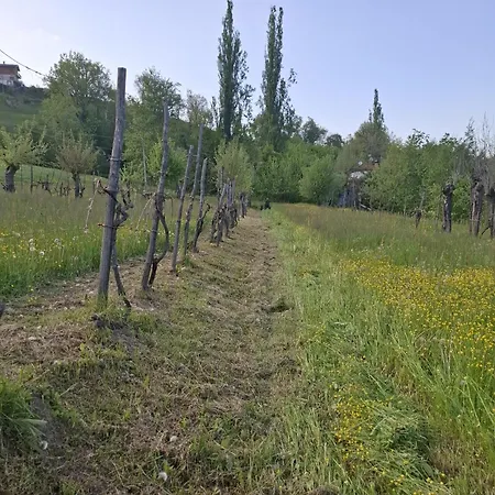 Dei Forestieri Montefiorino