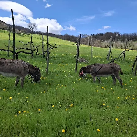 Apartamento Dei Forestieri