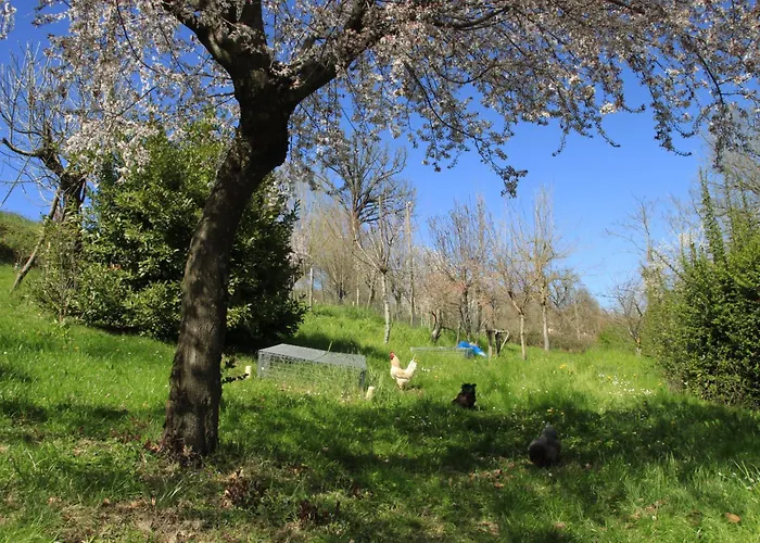 Διαμέρισμα Dei Forestieri