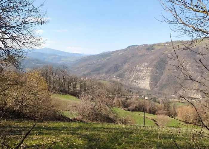 Dei Forestieri Montefiorino