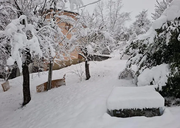 Dei Forestieri Apartament *