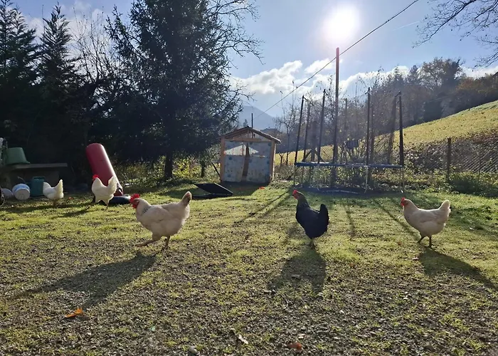 Dei Forestieri Apartament Montefiorino