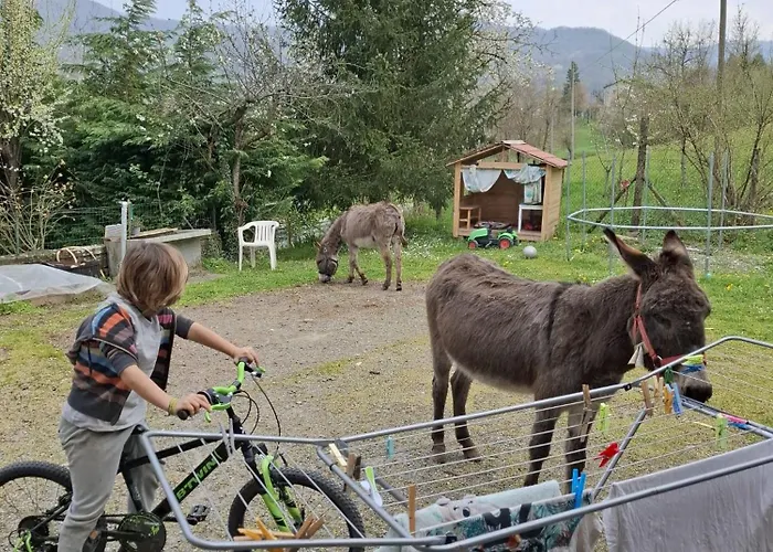 Dei Forestieri * Montefiorino