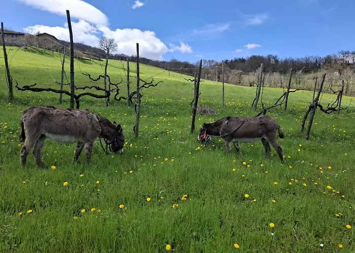 Διαμέρισμα Dei Forestieri